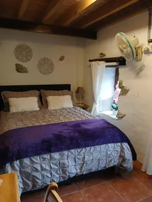 a bedroom with a bed and a window at George's House in Askas