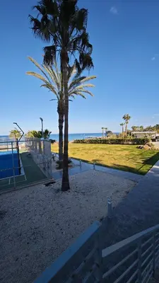 a palm tree on the beach next to a bench at Coralli Privileges Apt in Protaras