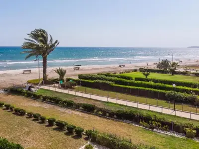 a park on the beach with a palm tree and the ocean at Yialos Village by Cybarco in Larnaka