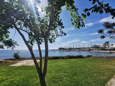 a tree in a park next to a body of water at Relax by the sea in Protaras