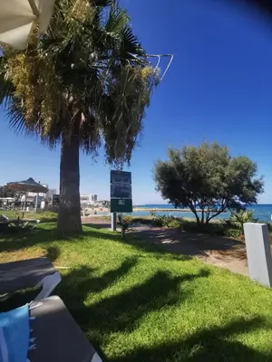 a palm tree on the beach with a sign at Relax by the sea in Protaras