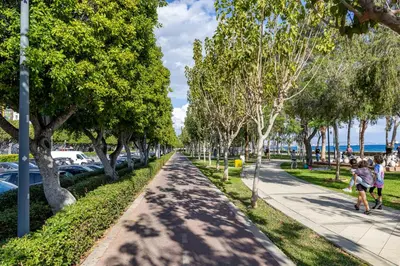 a tree lined street with cars parked on the side at 74 Prokymea- Steps from the Sea, Downtown, Balcony in Limassol
