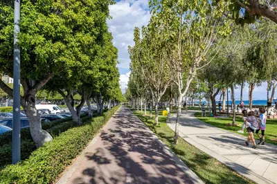 a tree lined street with parked cars on a beach at 75 Prokymea- Steps from the Sea, Downtown, Balcony in Limassol
