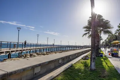a pier with a palm tree next to the ocean at 75 Prokymea- Steps from the Sea, Downtown, Balcony in Limassol
