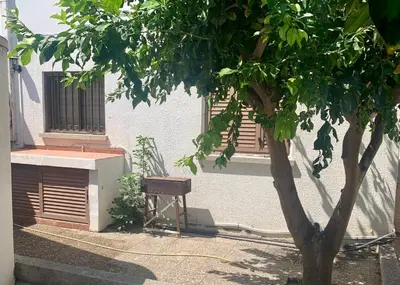 a tree in front of a building with a chair at Sandy Beach Villas Sea View Apartment Pyla in Larnaka