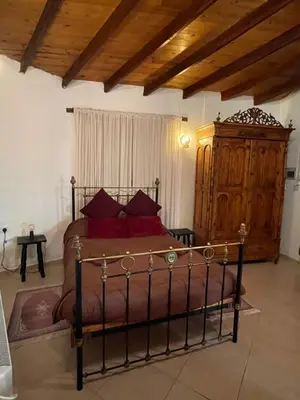 a bedroom with a bed with red pillows at House No9 - Studio in Kakopetria