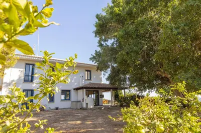 a white house with a tree in front of it at Ayia Napa Sycamore SeaView in Ayia Napa