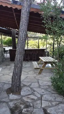 a picnic table and a tree in a stone patio at Villa in Moniatis in Moniatis