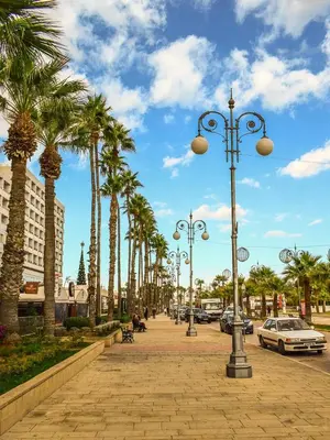 a street with palm trees and street lights on a sidewalk at Spacious Apartment, NEAR PINIKOUDES BEACH in Larnaka