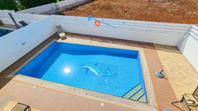 an overhead view of a swimming pool with a dolphin in the water at Palmvibes Villa With Private Pool in Paralimni