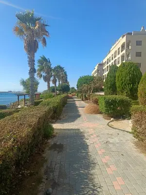 a sidewalk with a palm tree and a building at Danit apartmnt by the sea in Zygi