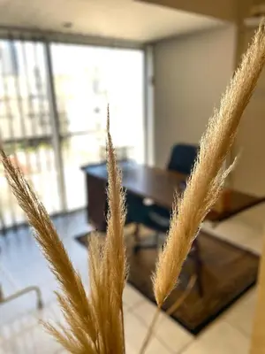 an office with a desk and some tall grass at Central Comfort in Nicosia - Orfeos By Platform 357 in Nicosia