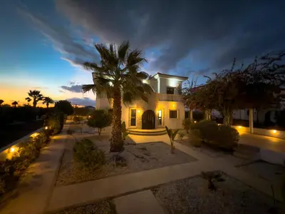 a house with a palm tree in front of it at Beachfront Villa with Private Pool and Exotic Fruit Garden in Pyla