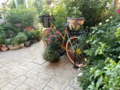 an orange bike parked in a garden with plants at Kyperounta Retreat in Kyperounda