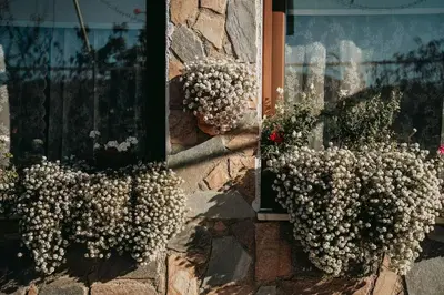 two potted plants on the side of a window at Kyperounta Retreat in Kyperounda