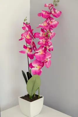 a bunch of pink orchids in a white vase at Obv 2304 in Pyla