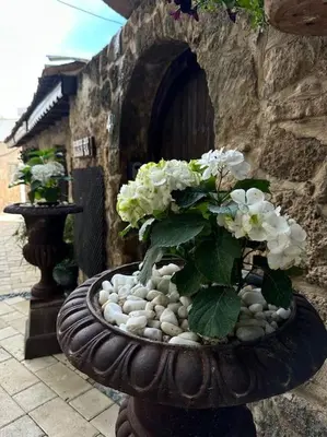 a plant in a stone bowl with rocks and flowers at Your place for relax in Larnaka