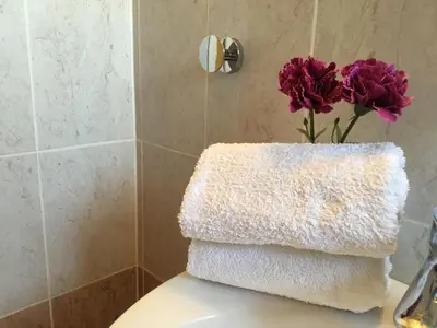 a bathroom with three towels and a vase with purple flowers at Pissouri Beach House - Image in Pissouri