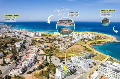 an aerial view of the beach and the ocean at SunnyVillas 1 Bedroom Swimming Pool COR in Protaras