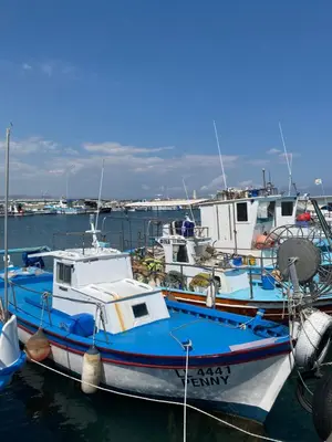 a group of boats are docked in the water at Ithaki Phinikoudes Apartment No. 205 in Larnaka