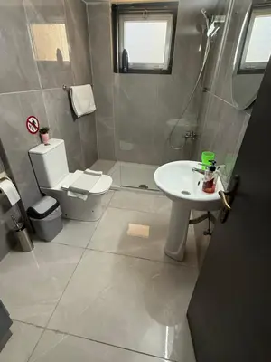 a bathroom with a toilet and a sink at D Pitsillos Homes luxury in Larnaka