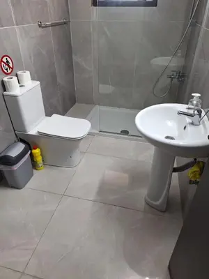 a bathroom with a toilet and a sink and a shower at D Pitsillos Homes luxury in Larnaka