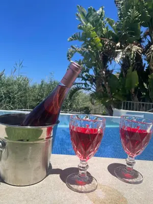 a bottle of wine in a bucket next to two glasses at Gold Sand Villa in Protaras