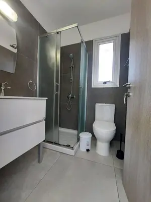a bathroom with a shower and a toilet and a sink at Luxury 2 bedroom apartment 301 in Larnaka
