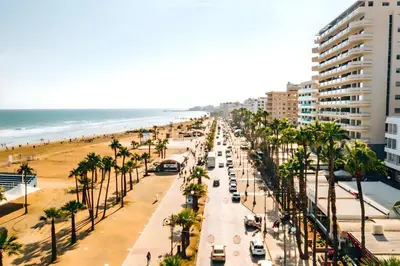 a busy street with palm trees and a beach at The Colonial in Larnaka