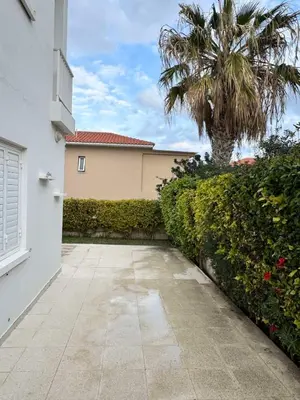 a driveway with a palm tree and a building at SWeET LEMON VILLA in Protaras