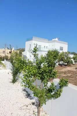 a row of trees in front of a white building at Marymina Villa in Protaras