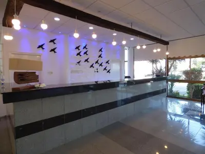 a swimming pool with birds hanging from the wall at Amore Protaras Apartments in Paralimni