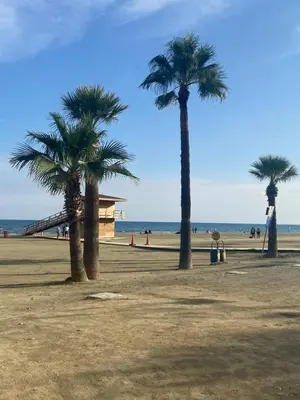 two palm trees on a beach with the ocean in the background at Atlantis Court in Makenzy in Larnaka