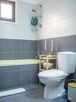 a bathroom with a toilet and a bath tub at Cozy sea view Apartment in Mazotos