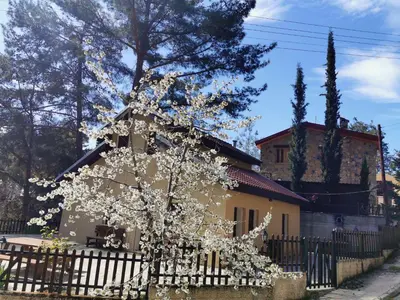 a tree in front of a house with a fence at VILLa PERSEPHONE in Platres