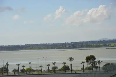 a large body of water with palm trees and a fence at STAY Sea and Salt Lake Panoramic View Apt in Larnaka