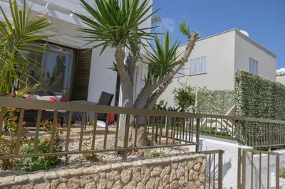 a house with palm trees and a fence at Cavo Greco Oasis in Protaras