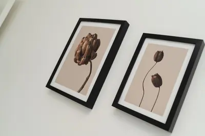 two framed pictures of flowers on a wall at 1 bedroom flat in city center in Nicosia