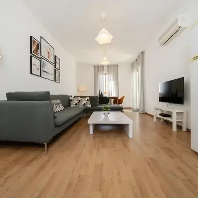 1 bedroom flat in city center