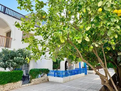 an orange tree in front of a white building at Stay With Oleg 102A in Paralimni