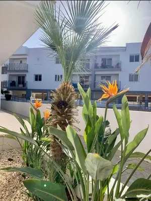 a view of a building from the beach with plants at Beautiful 2 Bed Ground Floor Apartment With Pool in Paralimni