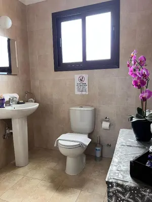 a bathroom with a toilet and a sink and a window at Villa Callione - Amazing view in Kyperounda