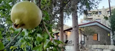 a apple hanging from a tree in front of a house at Monolithos Cottage in Pachna