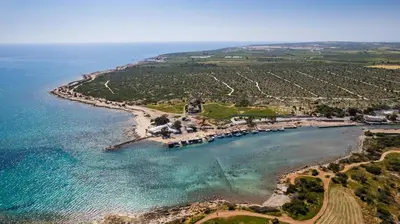 an aerial view of a beach and the ocean at Kymma River Villa #4 in Ayia Napa