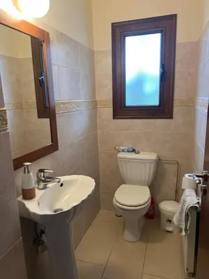 a bathroom with a toilet and a sink and a mirror at Tranquil paradise in Larnaka