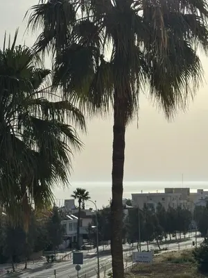 a palm tree in a parking lot with buildings at Protaras Sunset Bay in Protaras