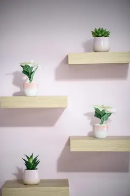 four shelves with plants in them on a wall at Azura 3 Bedroom Apartment in Larnaka