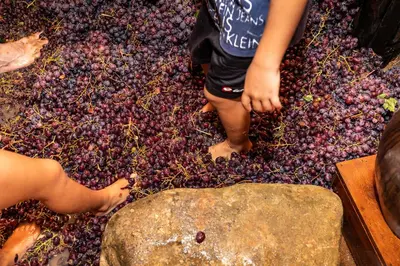 a group of children standing on a pile of grapes at Hatzikyprianou Museum Studio in Lazania