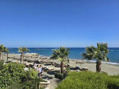 a beach with palm trees and chairs and the ocean at White Sea View Apartment in Limassol