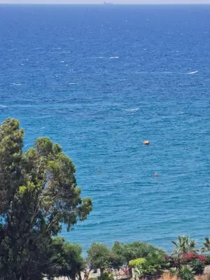 a view of the ocean with a tree in the foreground at White Sea View Apartment in Limassol